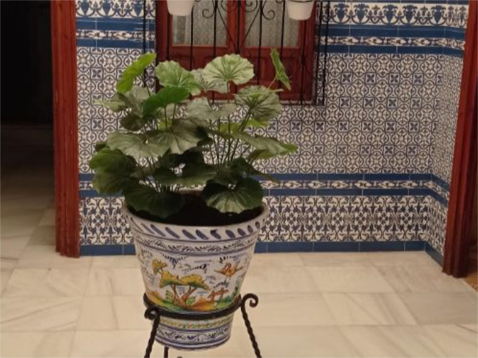 Jardí de Casa adosada en venda en Carmona amb Terrassa i Balcó