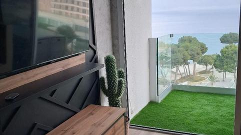 Flat to rent in Avinguda Notari Alemany, 1, Magaluf, Illes Balears - image 2 Photo 2 of Flat to rent in Avinguda Notari Alemany, 1, Magaluf, Illes Balears