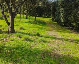 Land for sale in Villanueva de la Cañada