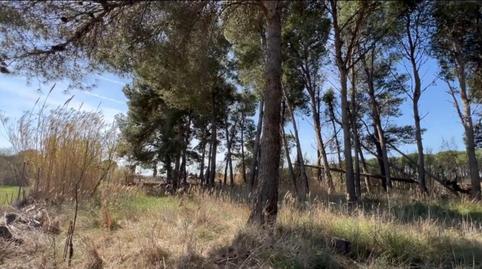 Foto 5 de Terreny en venda a Diseminado Afores, 180, Els Griells, Girona