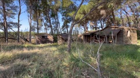 Foto 4 de Terreny en venda a Diseminado Afores, 180, Els Griells, Girona