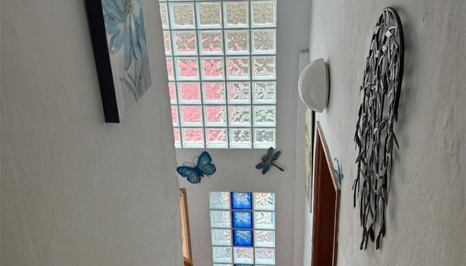 Foto 1 de Finca rústica en venda a Lugar Bajo el Roque Taganana, 14, Anaga, Santa Cruz de Tenerife