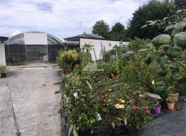 Local comercial en Alquiler en Estrada da Ponte, 50 en Chantada