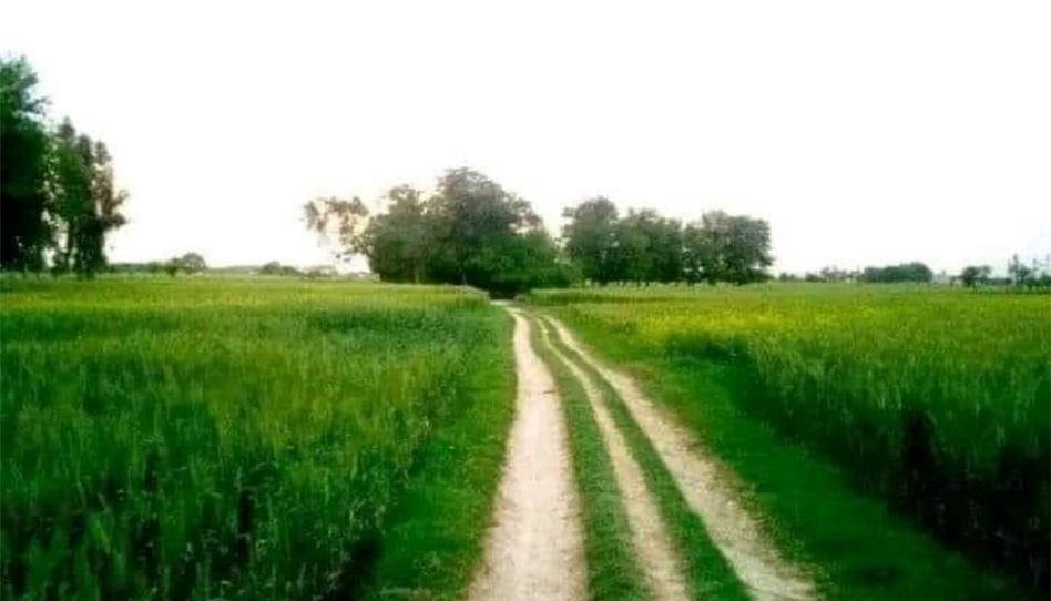 Photo 1 of Single-family semi-detached to share in Parque Deportivo Puerta de Hierro, 28023, Ciudad Universitaria, Madrid