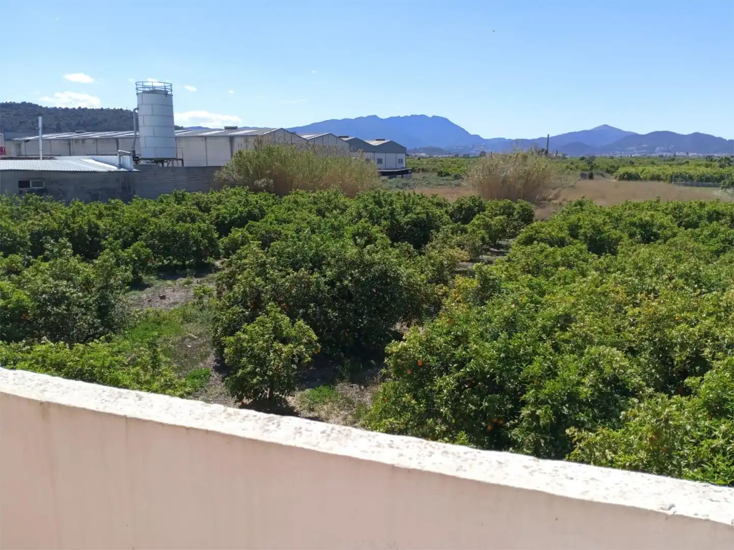 Einfamilien-Reihenhaus zum Verkauf in Travesía Sotaya, 1, L'Alqueria de la Comtessa Einfamilien-Reihenhaus zum Verkauf in L'Alqueria de la Comtessa mit Terrasse und Balkon