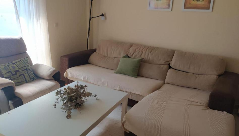 Flat to rent in Calle Doctor Rafael Bernal, 10, Benalup-Casas Viejas, Cádiz - image 1 Photo 1 of Flat to rent in Calle Doctor Rafael Bernal, 10, Benalup-Casas Viejas, Cádiz