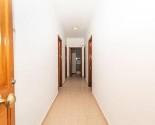 Flat to rent in  Granada Capital  with Terrace