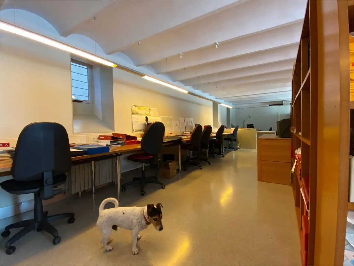 Oficina de lloguer a Carrer de Mas Yebra, 8, Sant Gervasi i la Bonanova Oficina de lloguer a Carrer de Mas Yebra, 8, Sant Gervasi i la Bonanova