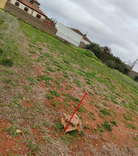 Foto 2 de Finca rústica en venda a Diseminado Pago el Sotillo, 46, Las Lagunas - Campano, Cádiz