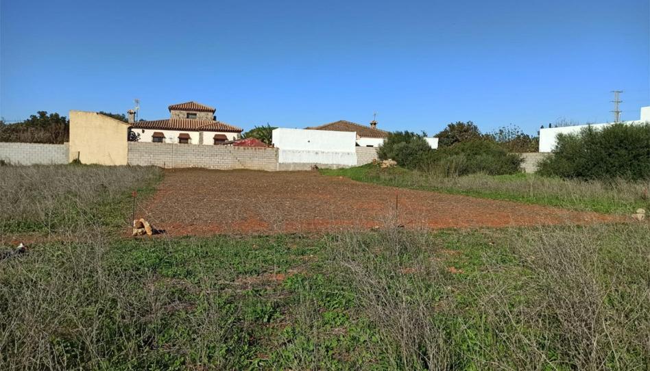 Foto 1 de Finca rústica en venda a Diseminado Pago el Sotillo, 46, Las Lagunas - Campano, Cádiz