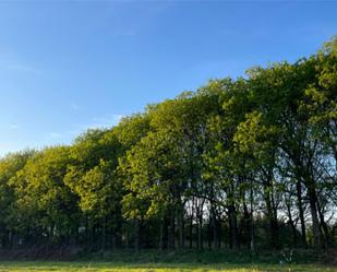 Exterior view of Land for sale in Covelo
