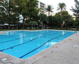 Swimming pool of Apartment to rent in Gandia  with Air Conditioner, Terrace and Swimming Pool