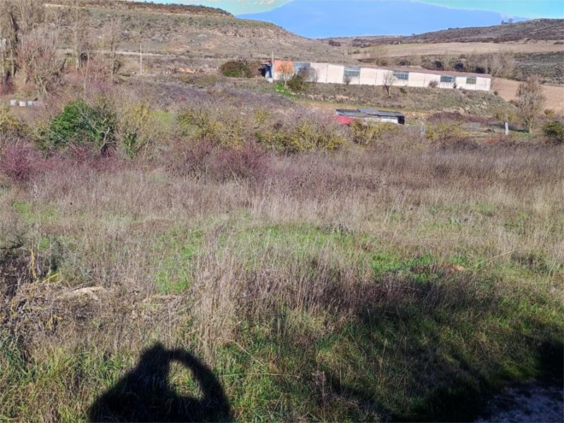 Urbanitzable en venda en Cardeñadijo