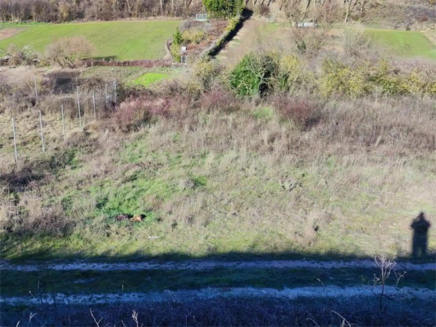 Bebaubares Gelände zum Verkauf in Cardeñadijo
