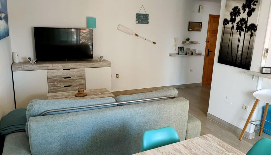 Piso de alquiler en Carrer Pau de Sant Leocadi, 34, Oliva Nova, Oliva - imagen 1 Foto 1 de Piso de alquiler en Carrer Pau de Sant Leocadi, 34, Oliva Nova, Oliva