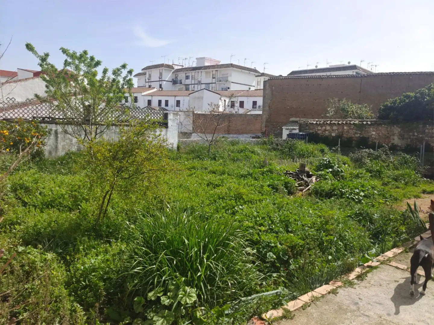 Terreno en venta en Jabugo