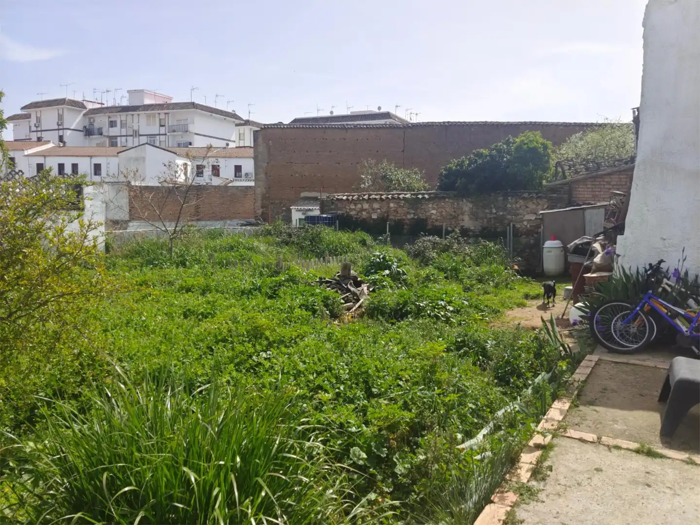 Terreno en venta en Jabugo