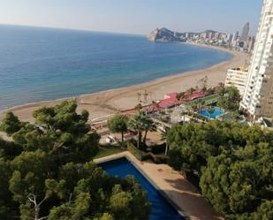 Apartment to rent in Avenida de Xixo, 12, Playa Poniente