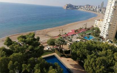 Apartamento en alquiler en playa poniente