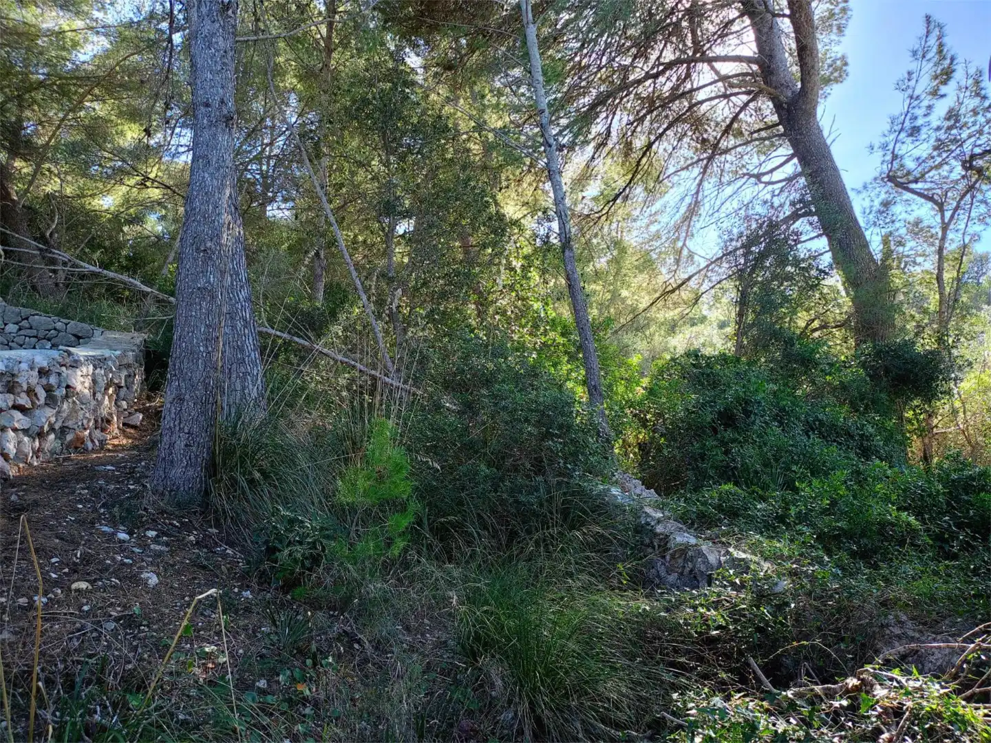 Terreno en venta en Carrer De's Xiprell, 38, Font de Sa Cala Terreno en venta en Capdepera