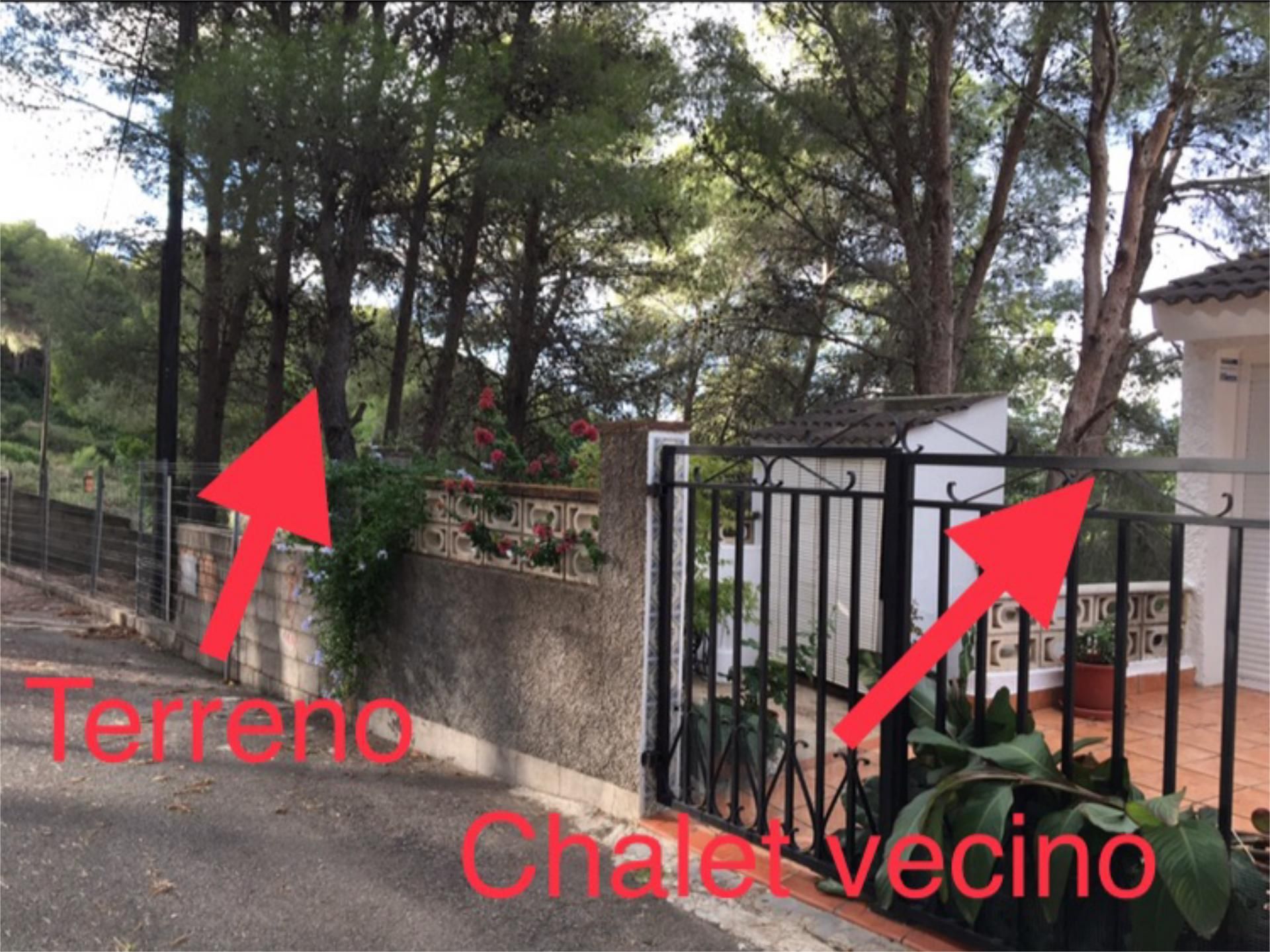 Garden of Constructible Land for sale in Carcaixent
