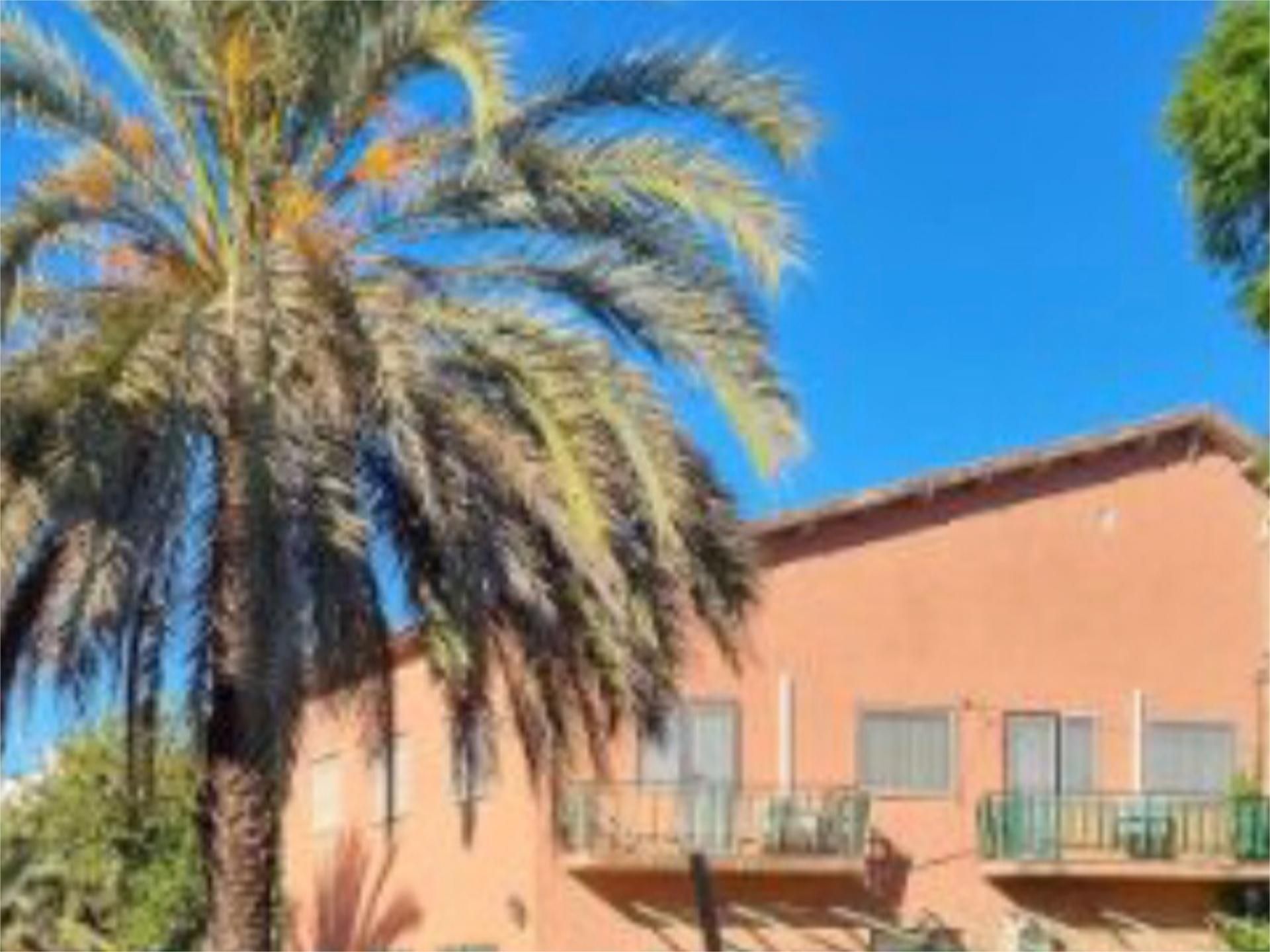 Exterior view of House or chalet for sale in Torre-Pacheco