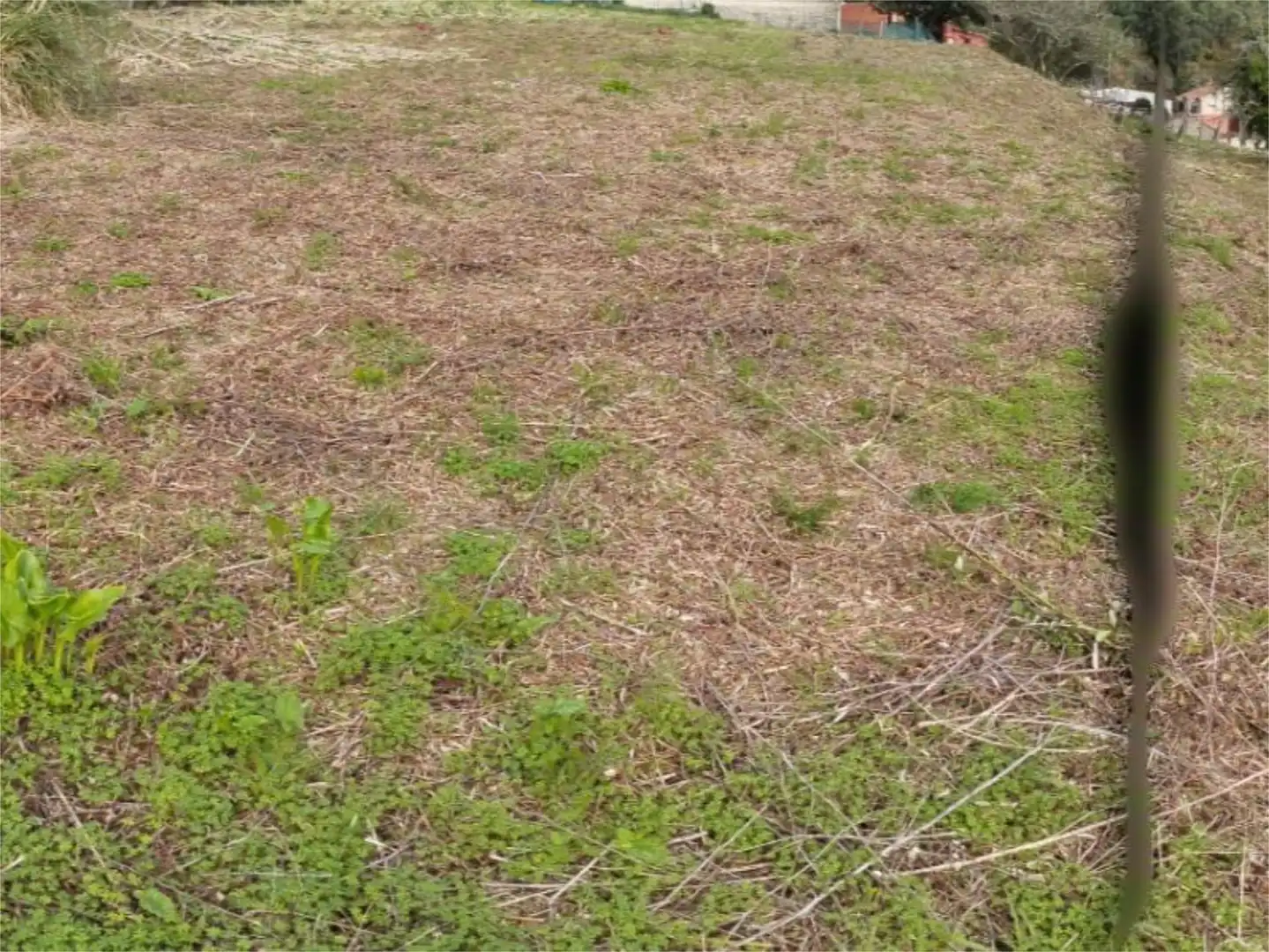 Grundstücke zum Verkauf in Camiño Monte Covelo, 51, Combarro Grundstücke zum Verkauf in Poio