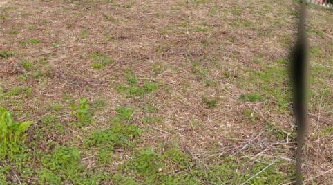 Land for sale in Camiño Monte Covelo, 51, Combarro, Pontevedra - image 4 Photo 4 of Land for sale in Camiño Monte Covelo, 51, Combarro, Pontevedra