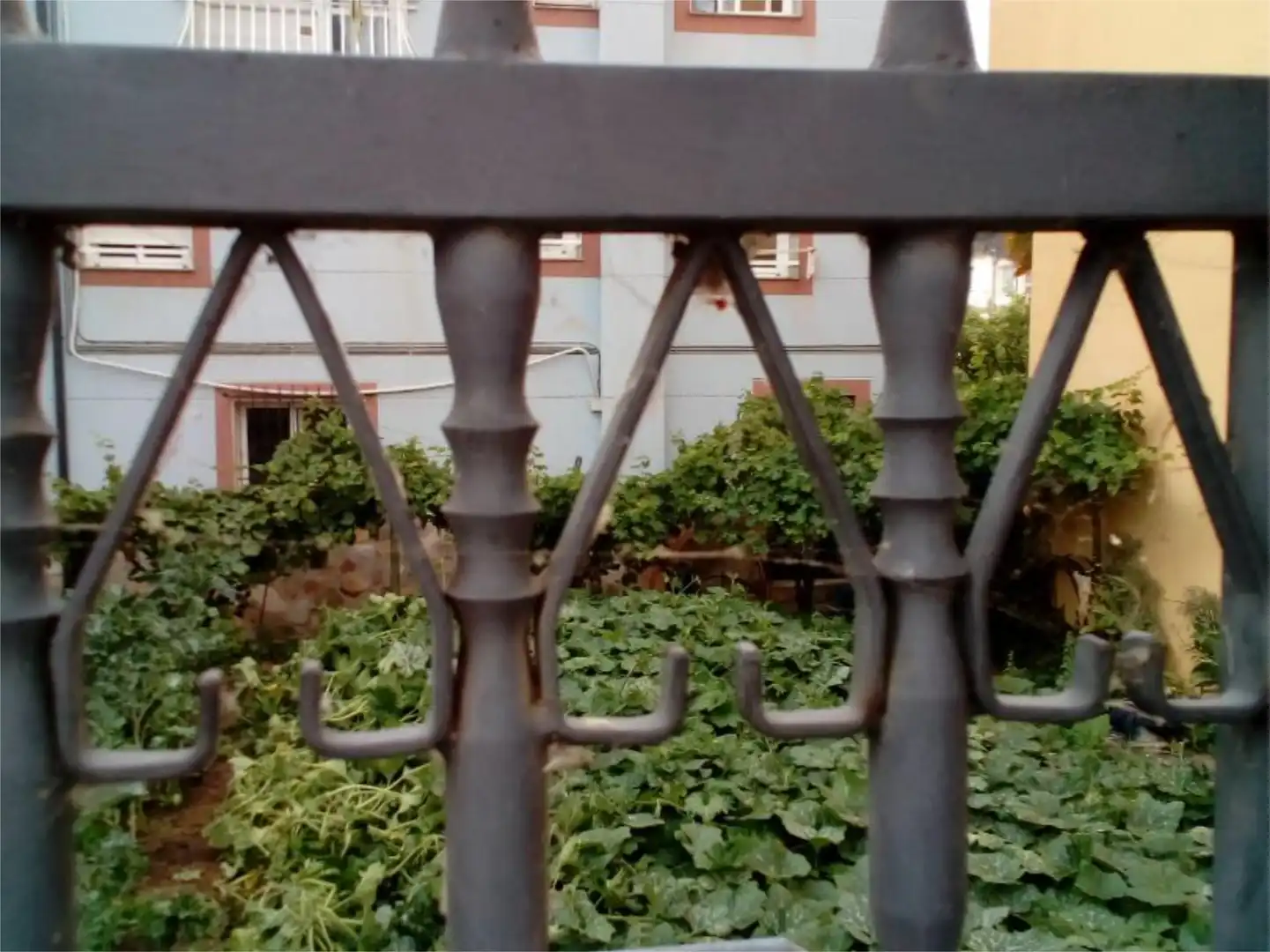 Garten von Wohnung zum Verkauf in Ribas de Sil mit Heizung, Terrasse und Abstellraum