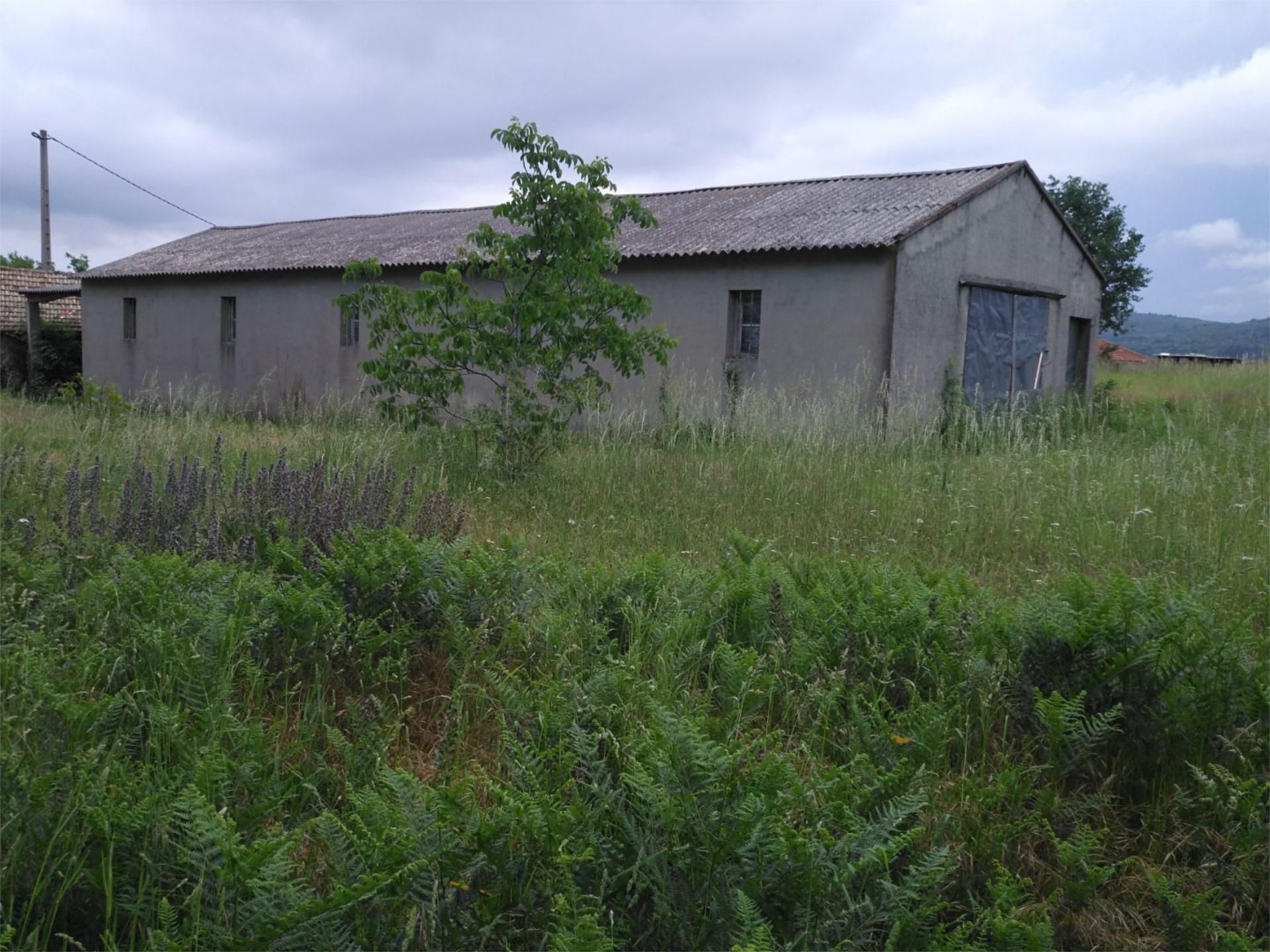 Land for sale in Camiño do Pazo, Verea