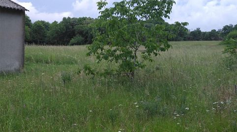 Foto 2 de Terreno en venta en Camiño Do Pazo, Verea, Ourense