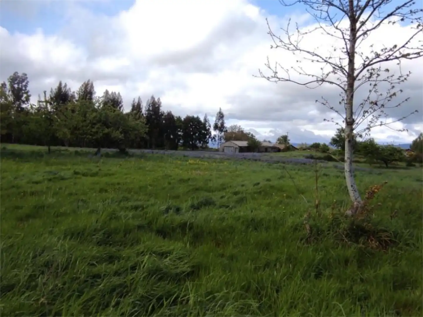 Terreno en venta en Camiño do Pazo, Verea Terreno en venta en Verea