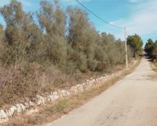Land for sale in Castellón de la Plana / Castelló de la Plana  with Storage room