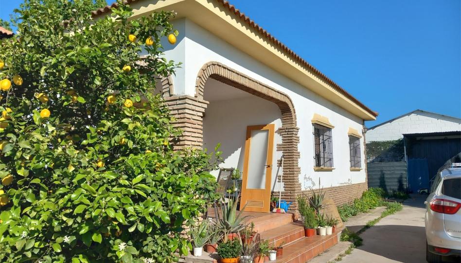 House or chalet for sale in Calle Escritor Gonzalo de Saavedra, 2, El Higuerón, Córdoba - image 1 Photo 1 of House or chalet for sale in Calle Escritor Gonzalo de Saavedra, 2, El Higuerón, Córdoba