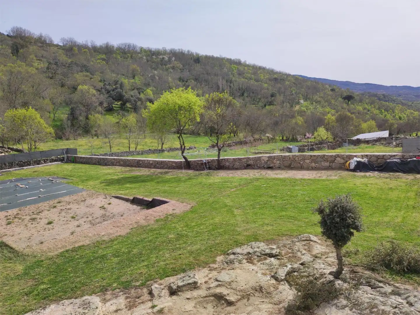 Garden of Country homes for sale in La Calzada de Béjar 