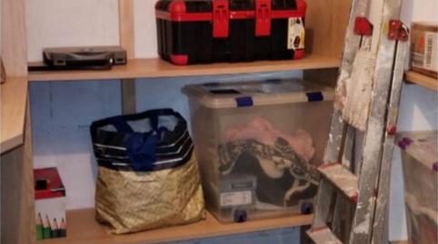 Box room for sale in Juan de Garay Kalea, Iralabarri, Bizkaia - image 4 Photo 4 of Box room for sale in Juan de Garay Kalea, Iralabarri, Bizkaia