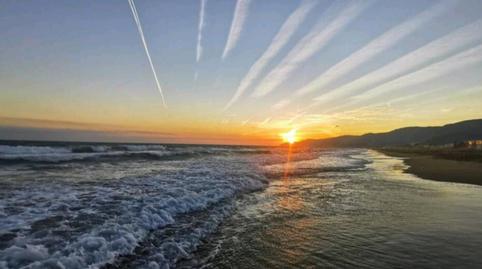 Study to rent in Carrer Diagonal Orient, 20, La Pineda, Barcelona - image 3 Photo 3 of Study to rent in Carrer Diagonal Orient, 20, La Pineda, Barcelona