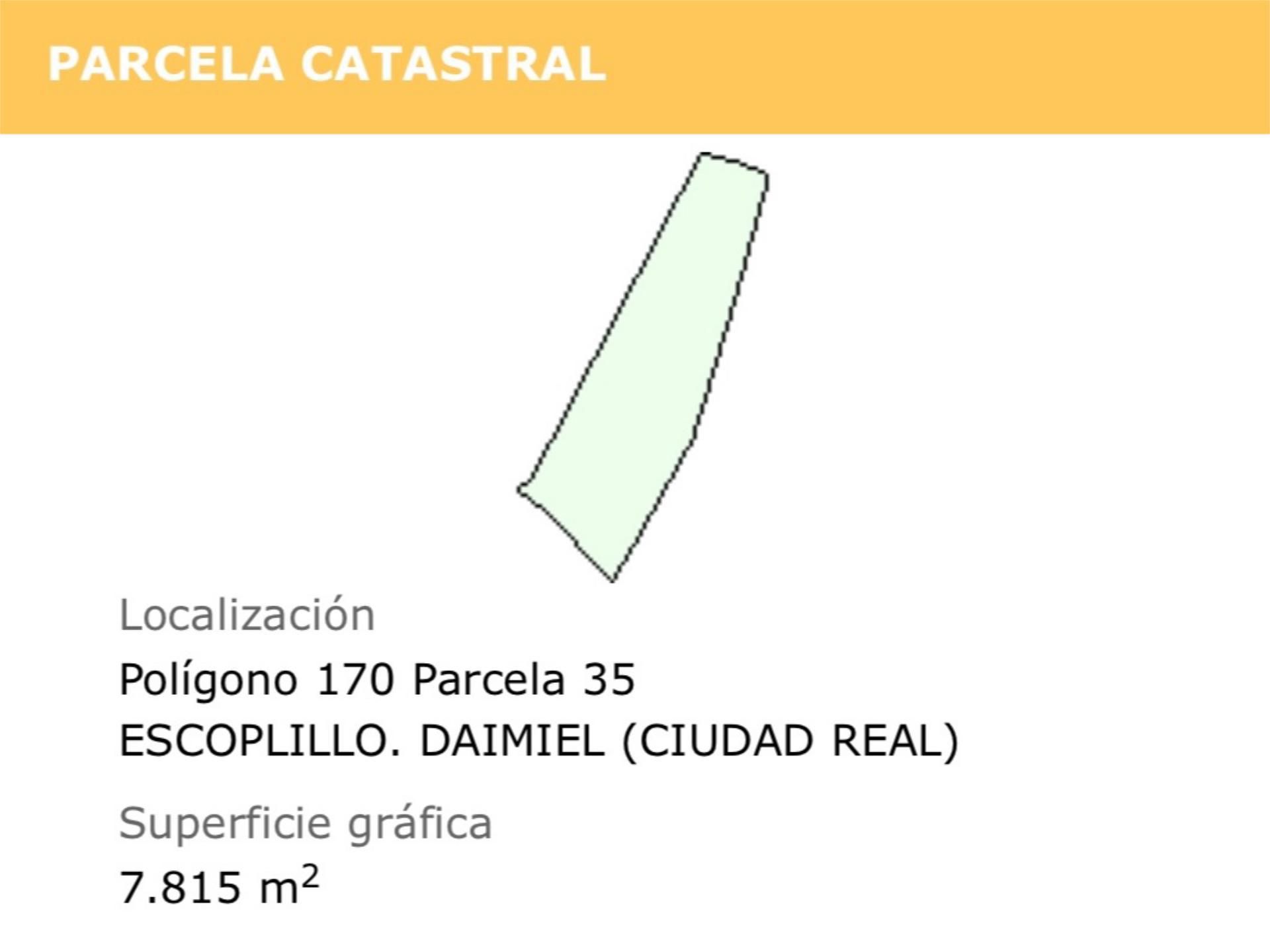 Terreno en venta en Daimiel