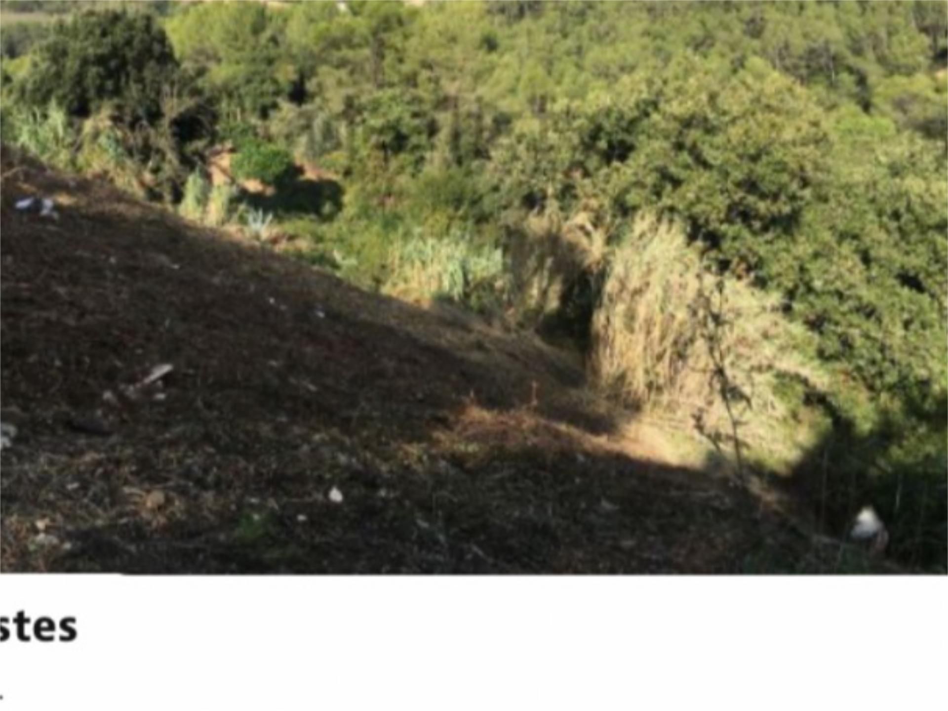 Casa o chalet en venta en Cervelló