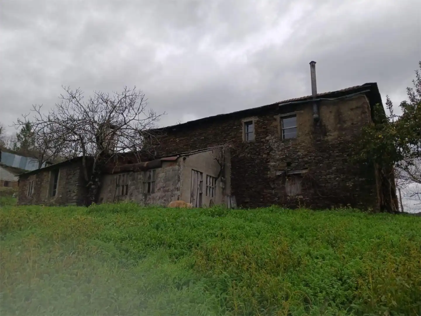 Finca rústica en venda a Rúa Aldara, Becerreá Vista exterior de Finca rústica en venda en Becerreá amb Jardí privat i Balcó