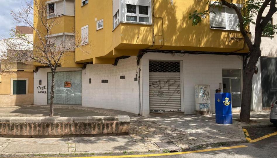 Geschaftsraum zum Verkauf in Carrer D'èol, 4, Son Fortesa, Palma de Mallorca - Bild 1 Foto 1 von Geschaftsraum zum Verkauf in Carrer D'èol, 4, Son Fortesa, Palma de Mallorca
