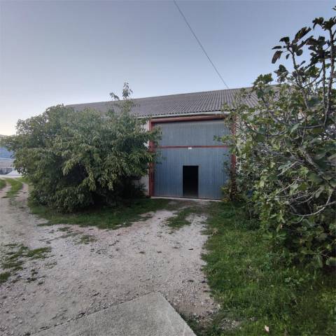 Trastero en Alquiler en Zabalza / Zabaltza