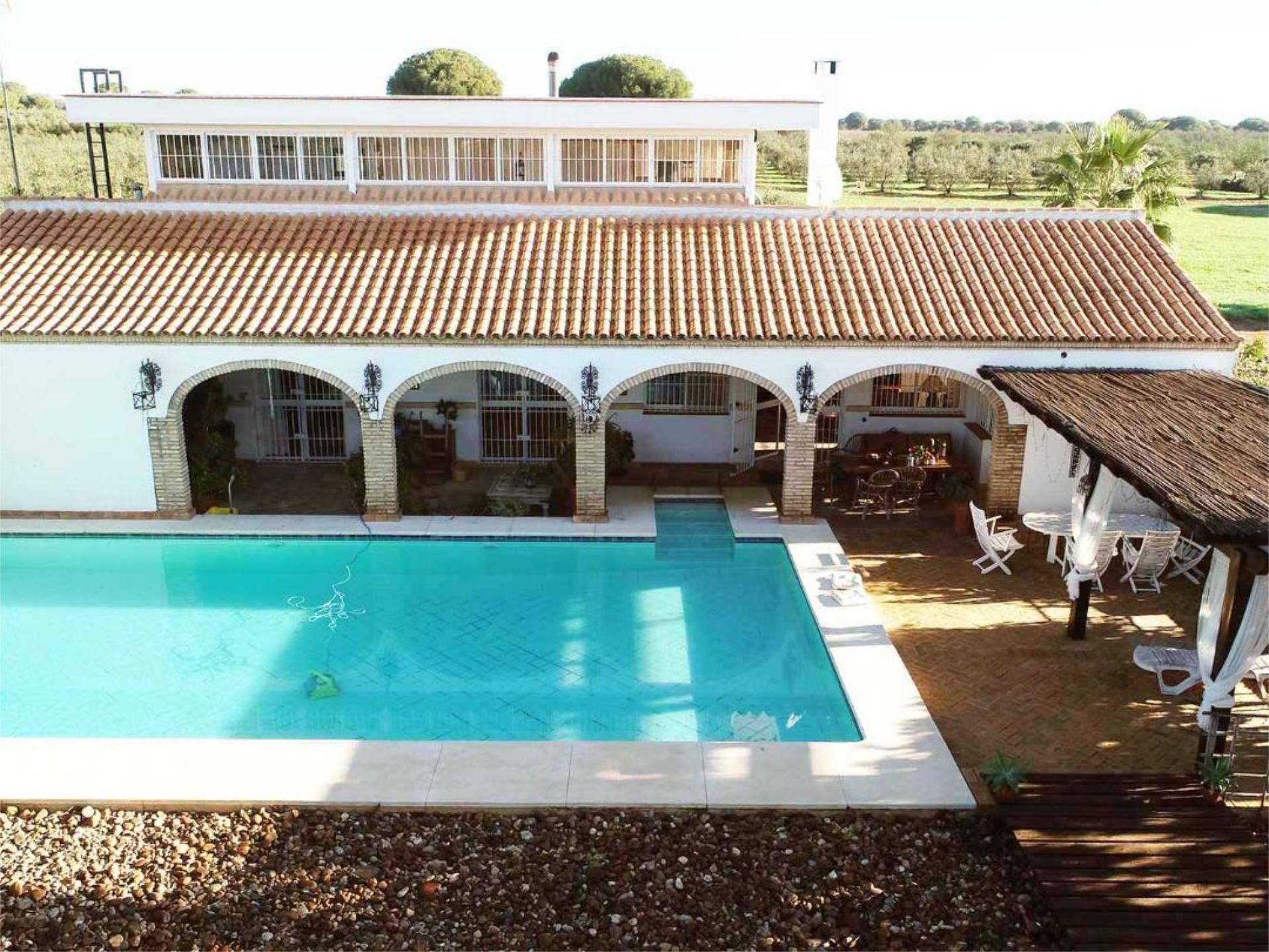 Piscina de Finca rústica en venda en Aznalcázar amb Aire condicionat, Terrassa i Piscina