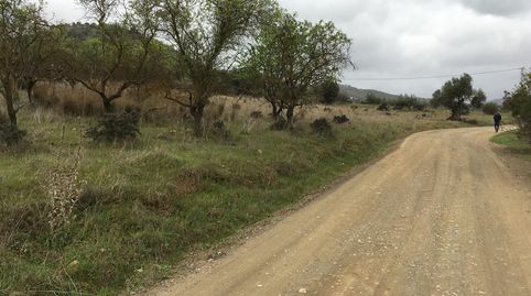 Foto 4 de Terreno en venta en Lugar Partido Llano Comisario, 501, Coín, Málaga