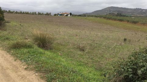 Foto 2 de Terreno en venta en Lugar Partido Llano Comisario, 501, Coín, Málaga