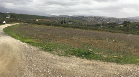 Foto 3 de Terreno en venta en Lugar Partido Llano Comisario, 501, Coín, Málaga