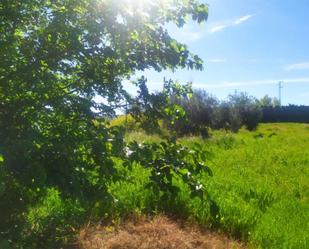 Non-constructible Land for sale in Úbeda