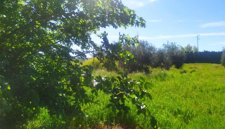 Foto 1 de No Urbanizable en venta en Calle Acacia, Úbeda, Jaén
