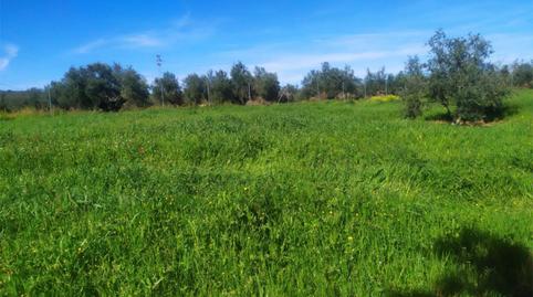 Foto 3 de No Urbanizable en venta en Calle Acacia, Úbeda, Jaén