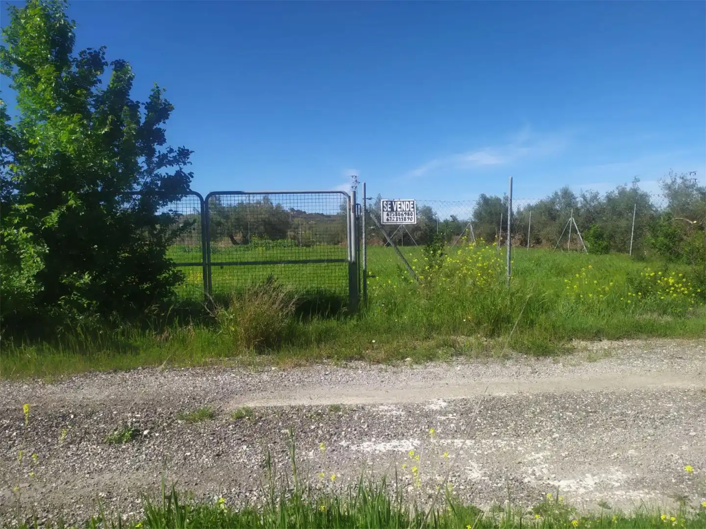 No Urbanitzable en venda a Calle Acacia, Úbeda No Urbanitzable en venda en Úbeda